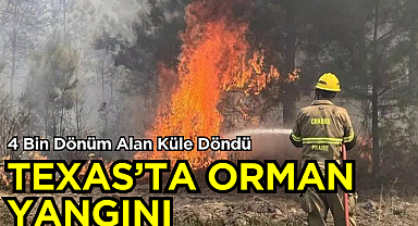 Texas'taki Orman Yangını