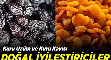 Zeka ve Beyin Sağlığını İyileştiren Besinler