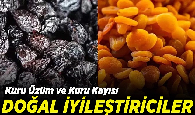 Zeka ve Beyin Sağlığını İyileştiren Besinler