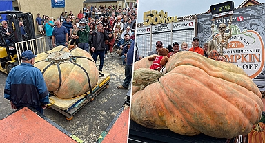 2,7 tonla rekor kırdı: Devasa kabak Minnesotalı öğretmene 30 bin dolar kazandırdı