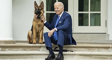 Isırma vakaları arttı, Biden'ın köpeği "Commander" Beyaz Saray'dan uzaklaştırıldı!