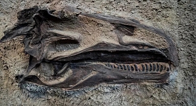 Paleontolojik kaynakları satan ekip çökertildi!