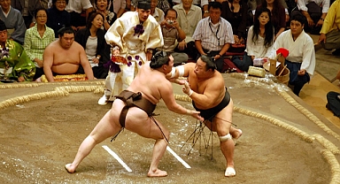 Sumo güreşçileri uçağa ağır geldi, şirket ek sefer yaptı