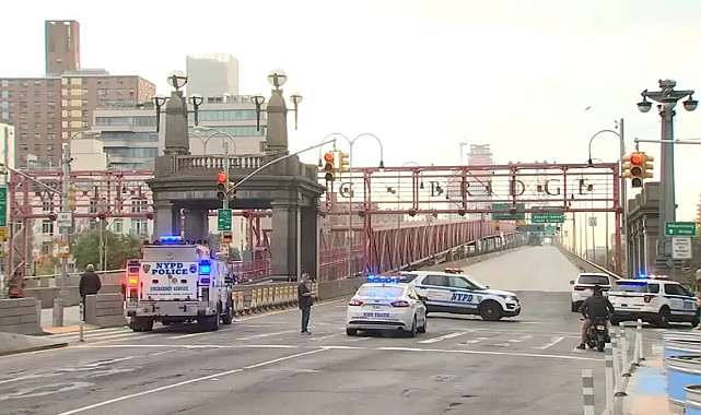 Williamsburg Köprüsü'ne tırmandı! Trafiği durdurdu!