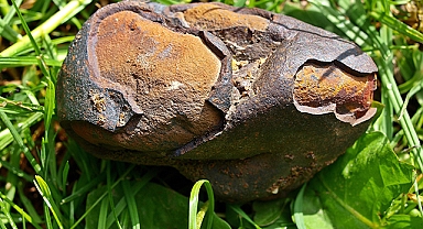 Almanya'da yaşayan Türk'ün bahçesine gök taşı düştü: Değeri dudak uçuklattı!