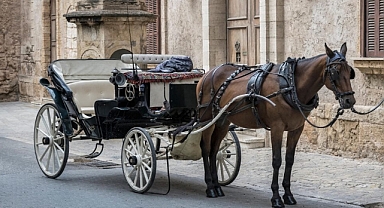 Atını çok çalıştırarak ölümüne neden olan fayton sürücüsü tutuklandı