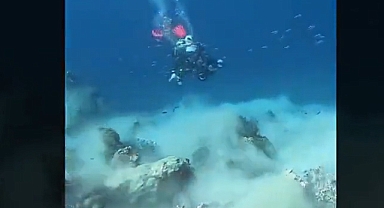 Denizin dibinde depreme yakalandılar: Görüntüler şok etti