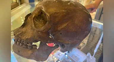 İkinci el mağazasından kafatası çıktı! Dedektifler araştırma başlattı!