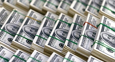 Satıcı bir hata yaptı: 390 bin dolar kazandı