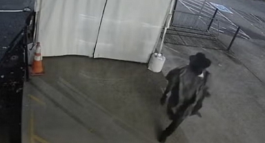 19 bin litre şarabı döktü: 600 bin dolar zarara sebep oldu