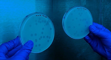 ABD'de gizemli hastalık