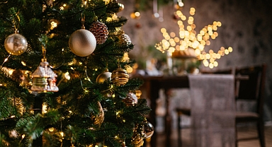 Yılbaşı ağacının davetsiz misafiri