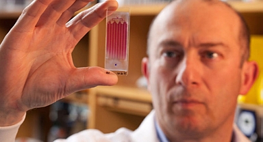 Türk Bilim İnsanı Prof. Dr. Mehmet Toner'den tıpta çığır açan keşif