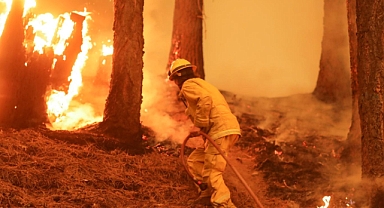 Eski Öğretim Üyesi, kundaklama eyleminde bulunduğunu itiraf etti