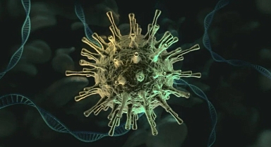 Milyonlarca insanın ölümüne neden olmuştu: Bubonik vebası, yeniden ABD'de görüldü