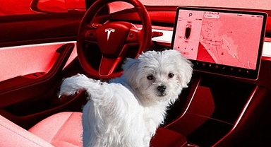 Tesla aracında yalnız bırakılan köpek, Paterson'da duygusal anlar yaşattı