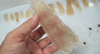 ABD'nin Batı Kıyısında Pirozom İstilası: Deniz Canlıları Sahilleri İşgal Ediyor!