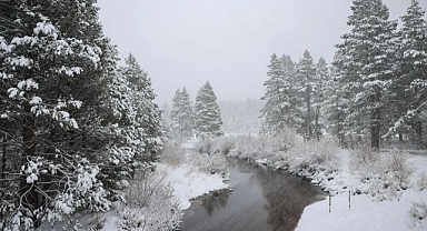 ABD'nin California eyaletine şiddetli kar fırtınası vurdu