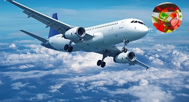 Türk yolcunun başına gelenler herkesi şok etti: Salatasından bıçak parçası çıktı