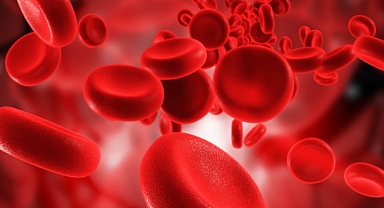 Araştırma Sonuçları Herkesi Korkuttu: A Kan Grubu Olanlar Dikkat!