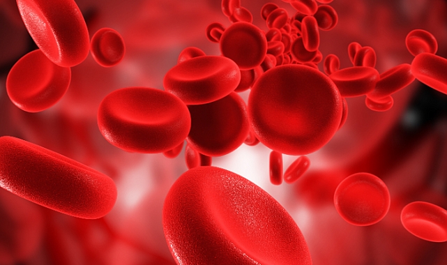 Araştırma Sonuçları Herkesi Korkuttu: A Kan Grubu Olanlar Dikkat!