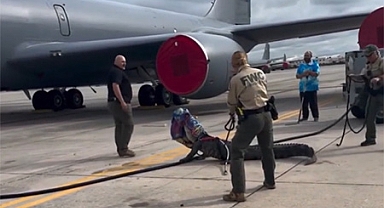 Florida'da Havaalanında Görülen Timsah Korku Dolu Anlar Yaşattı