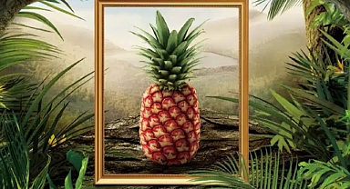 400 Dolar Değerindeki Ananas ABD'de Yok Satıyor!