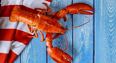ABD'nin Ünlü Deniz Ürünleri Zinciri Red Lobster, 1 Milyar Dolar Borçla İflas Etti!