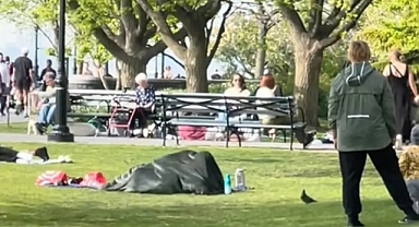 Battery Park'ta Skandal: Bir Çift, Battaniyenin Altında Cinsel İlişkiye Girdi!