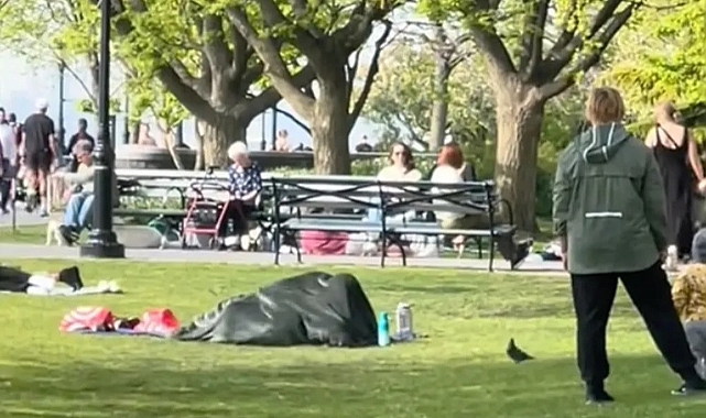 Battery Park'ta Skandal: Bir Çift, Battaniyenin Altında Cinsel İlişkiye Girdi!