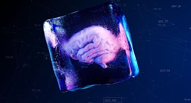 Donmuş Beyinle Ölümsüzlük Mümkün mü?