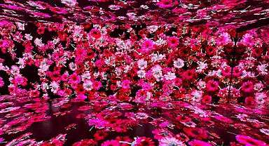 New York'ta Çiçeklerle Dolu Bir Sergi: BLOOMTANICA