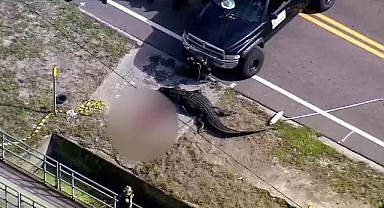 4 Metrelik Timsah, 41 Yaşındaki Kadını Yuttu: Cesedi Midesinden Çıktı!