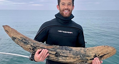 Florida Açıklarında Bir Dalgıç Devasa Mastodon Dişi Buldu