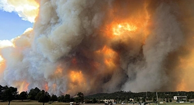 Orman Yangınları Sebebiyle New Mexico'da, Ohal İlan Edildi