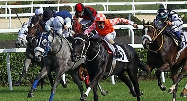 Türkiye'nin En Prestijli At Yarışı Olan Gazi Koşusu, 98 Yaşında!