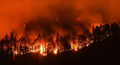 139 Bin Dönüm Küle Döndü California Yanıyor!
