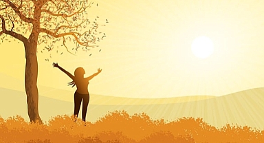 Amerikan Rüyası Nedir?