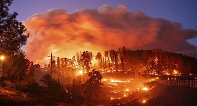 Arabasını Çukura Süren Adam 120 Bin Dönümü Kül Etti