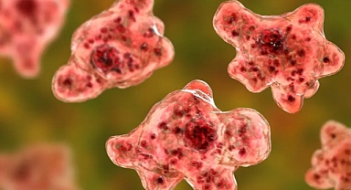 Beyin Yiyen Amipe Dikkat