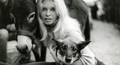 Brigitte Bardot'tan Erdoğan'a Mektup