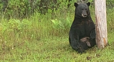 Florida'da Yaşayanlar Dikkatt! Polis Uyardı!