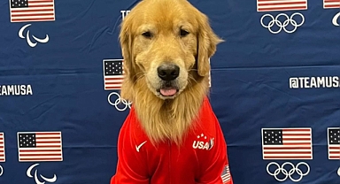 ABD'li Sporcuların Olimpiyat Kahramanı: Terapi Köpeği 'Beacon'