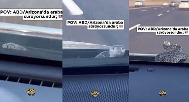Arabada Davetsiz Misafir: Kaputtan Yılan Çıktı!