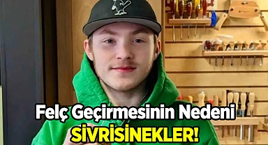 Felç Geçirmesinin Nedeni Sivrisinekler