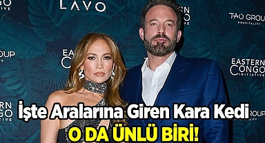 İşte Aralarına Giren Kara Kedi