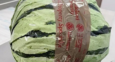 Karpuzun İçinden Bakın Ne Çıktı ABD Sınırında Şok!