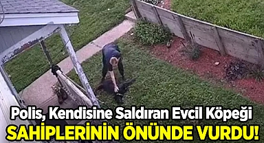 Polis, Kendisine Saldıran Köpeği Sahiplerinin Gözü Önünde Vurdu!