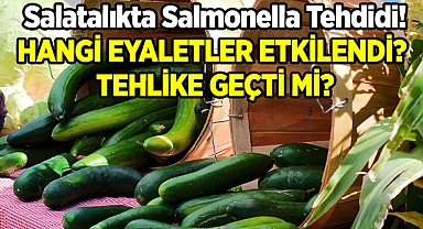 Salatalıktan Yayılan Salmonella Salgınında Tehlike Geçti mi?