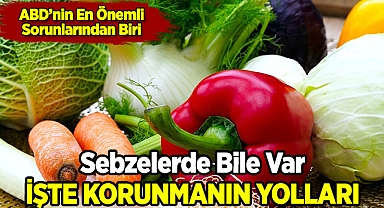 Sebzelerde Bile Var! İşte Korunmanın Yolları!